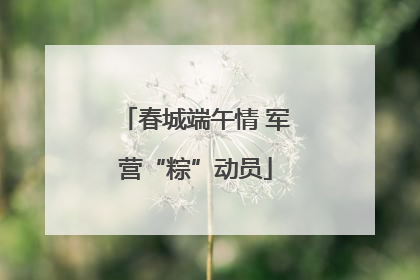 春城端午情 军营“粽”动员