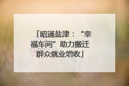 昭通盐津：“幸福车间”助力搬迁群众就业增收