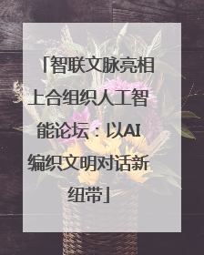 智联文脉亮相上合组织人工智能论坛：以AI编织文明对话新纽带