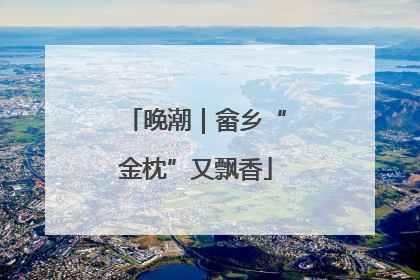 晚潮｜畲乡“金枕”又飘香