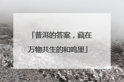 普洱的答案，藏在万物共生的和鸣里