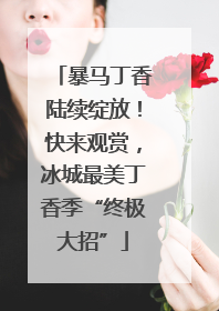 暴马丁香陆续绽放！快来观赏，冰城最美丁香季“终极大招”