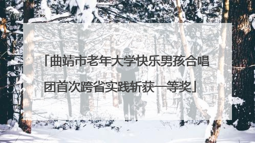 曲靖市老年大学快乐男孩合唱团首次跨省实践斩获一等奖