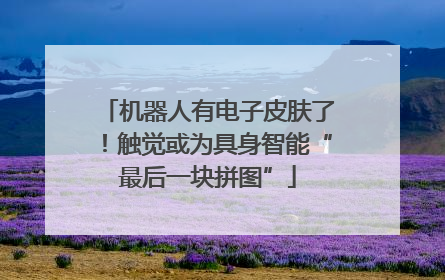 机器人有电子皮肤了！触觉或为具身智能“最后一块拼图”