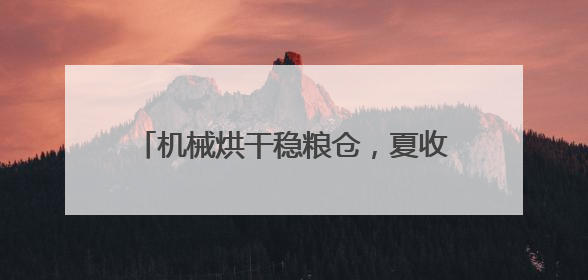 机械烘干稳粮仓，夏收夏种一体化！“三夏”生产跑出加速度｜麦报