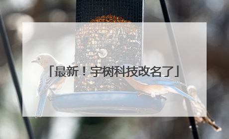 最新！宇树科技改名了