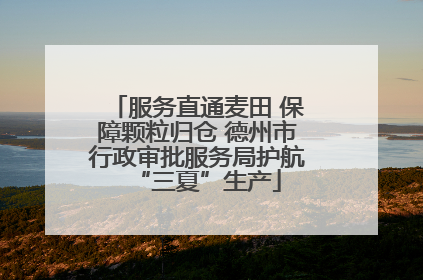 服务直通麦田 保障颗粒归仓 德州市行政审批服务局护航“三夏”生产