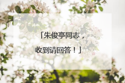 朱俊亭同志，收到请回答！
