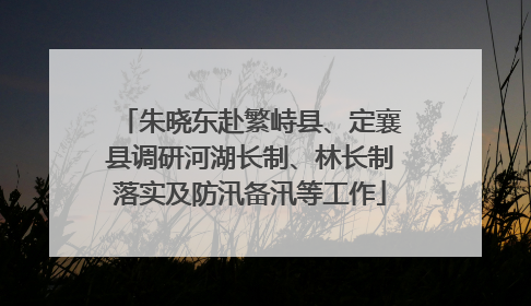 朱晓东赴繁峙县、定襄县调研河湖长制、林长制落实及防汛备汛等工作