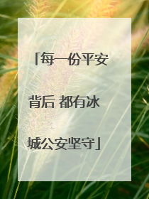 每一份平安背后 都有冰城公安坚守