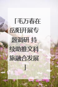 毛万春在岳阳开展专题调研 持续助推文科旅融合发展