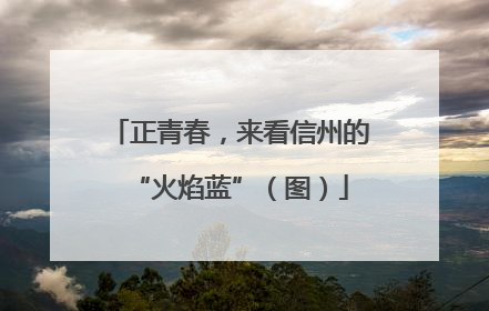 正青春，来看信州的“火焰蓝”（图）