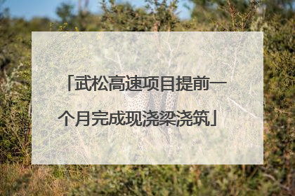 武松高速项目提前一个月完成现浇梁浇筑
