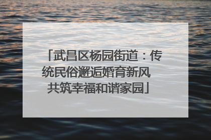 武昌区杨园街道：传统民俗邂逅婚育新风 共筑幸福和谐家园