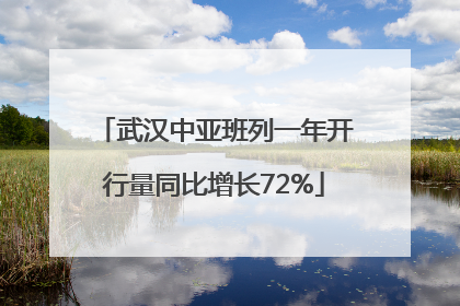 武汉中亚班列一年开行量同比增长72%