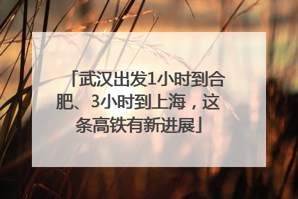 武汉出发1小时到合肥、3小时到上海，这条高铁有新进展