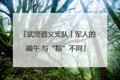 武警遵义支队︱军人的端午 与“粽”不同