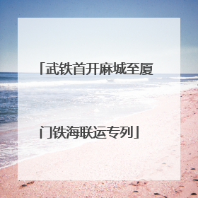 武铁首开麻城至厦门铁海联运专列