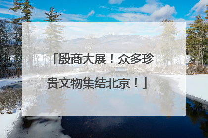 殷商大展！众多珍贵文物集结北京！