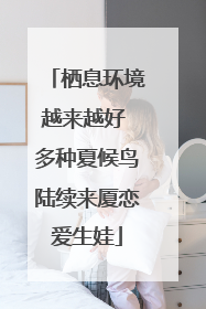 栖息环境越来越好 多种夏候鸟陆续来厦恋爱生娃