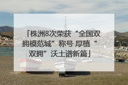 株洲8次荣获“全国双拥模范城”称号 厚植“双拥”沃土谱新篇