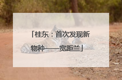 桂东：首次发现新物种——宽距兰