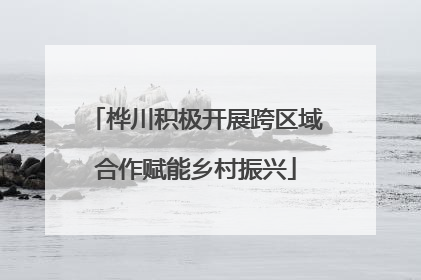 桦川积极开展跨区域合作赋能乡村振兴