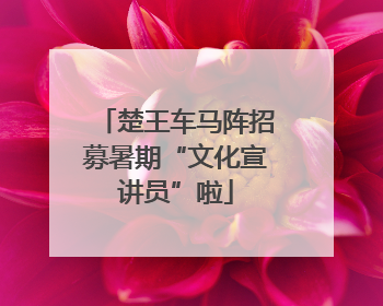 楚王车马阵招募暑期“文化宣讲员”啦