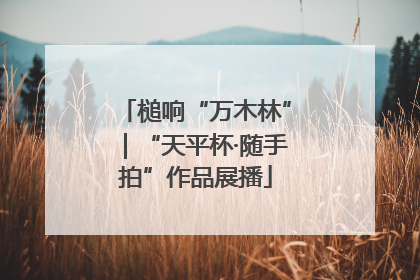 槌响“万木林”｜“天平杯·随手拍”作品展播