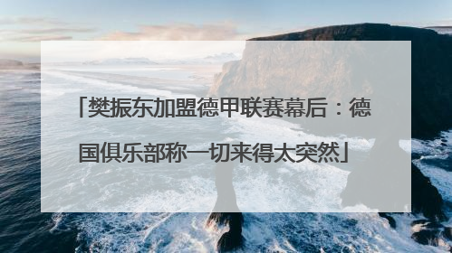 樊振东加盟德甲联赛幕后：德国俱乐部称一切来得太突然