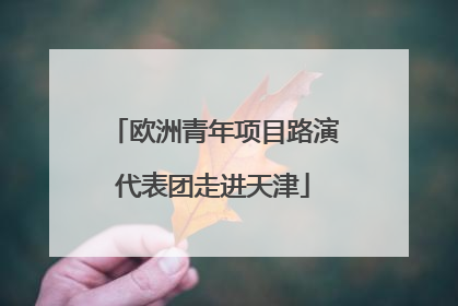 欧洲青年项目路演代表团走进天津