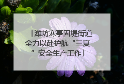 潍坊寒亭固堤街道全力以赴护航“三夏”安全生产工作