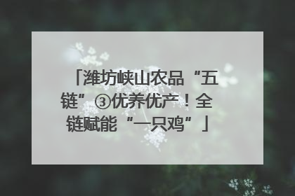 潍坊峡山农品“五链”③优养优产！全链赋能“一只鸡”