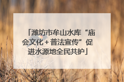 潍坊市牟山水库“庙会文化＋普法宣传”促进水源地全民共护