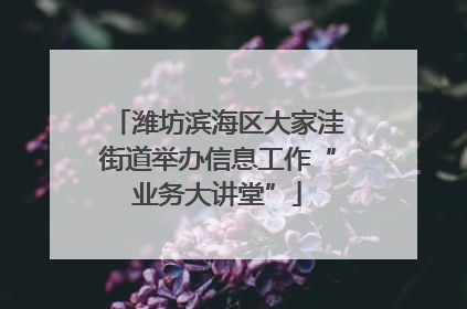 潍坊滨海区大家洼街道举办信息工作“业务大讲堂”