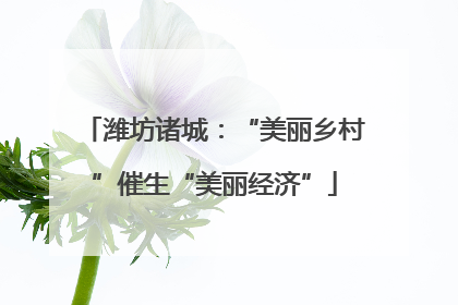 潍坊诸城：“美丽乡村”催生“美丽经济”