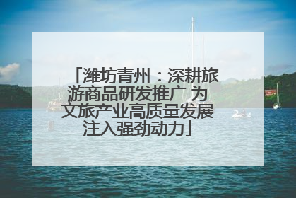 潍坊青州：深耕旅游商品研发推广 为文旅产业高质量发展注入强劲动力