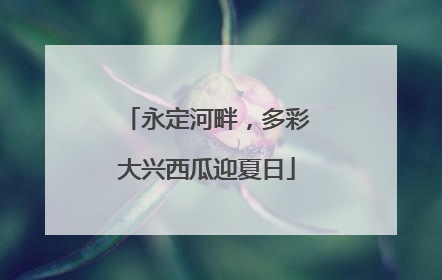 永定河畔，多彩大兴西瓜迎夏日