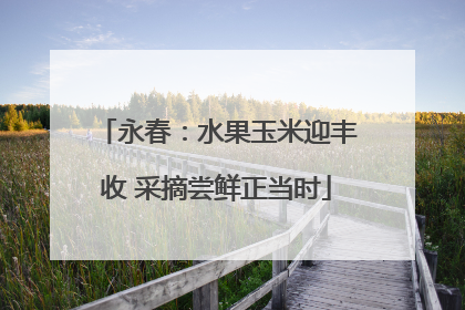 永春：水果玉米迎丰收 采摘尝鲜正当时