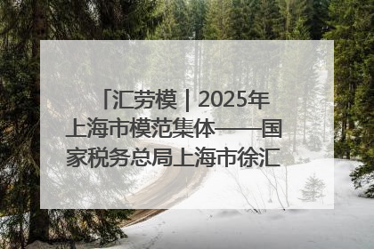 汇劳模｜2025年上海市模范集体——国家税务总局上海市徐汇区税务局第一税务所