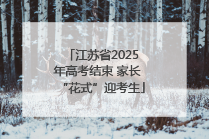 江苏省2025年高考结束 家长“花式”迎考生