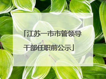 江苏一市市管领导干部任职前公示