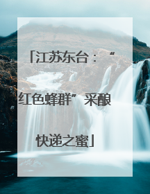 江苏东台：“红色蜂群”采酿快递之蜜