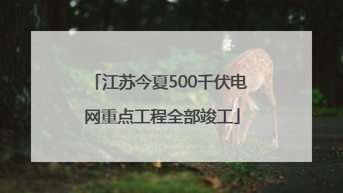 江苏今夏500千伏电网重点工程全部竣工
