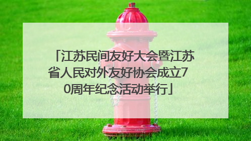 江苏民间友好大会暨江苏省人民对外友好协会成立70周年纪念活动举行