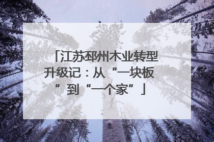 江苏邳州木业转型升级记：从“一块板”到“一个家”