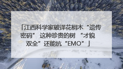 江西科学家破译花榈木“遗传密码” 这种珍贵的树 “才貌双全”还能抗“EMO”