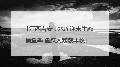 江西吉安：水库迎来生态捕鱼季 鱼跃人欢获丰收