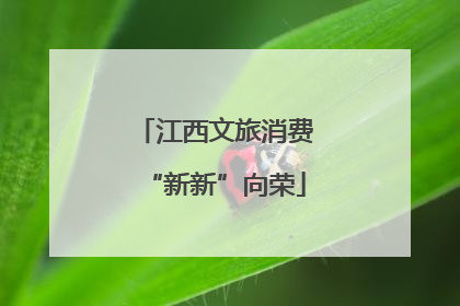 江西文旅消费“新新”向荣