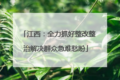 江西：全力抓好整改整治解决群众急难愁盼